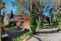 Foto8