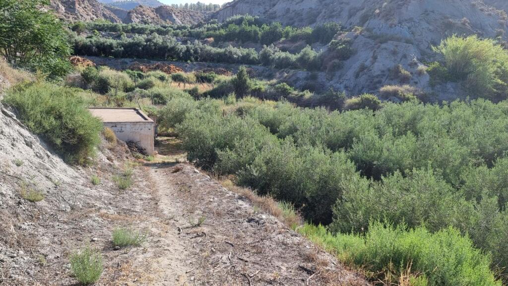Foto suelo rústico en venta en canjayar almería