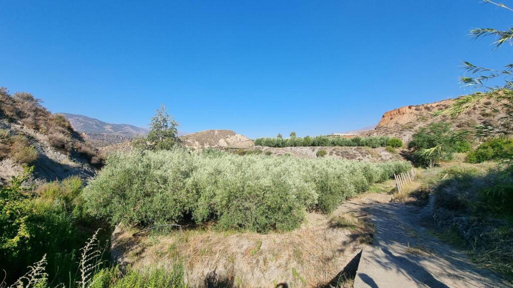 suelo rústico en venta en canjayar almería foto grande (2)