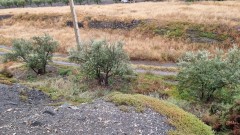 Foto30