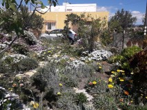 Foto14