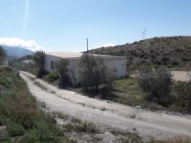 Foto19