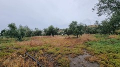 Foto32
