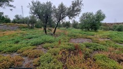 Foto33