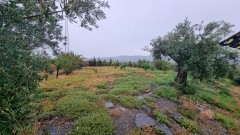 Foto34