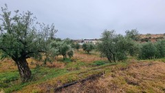 Foto24