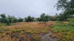 Foto33