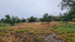 Foto35