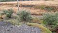 Foto33