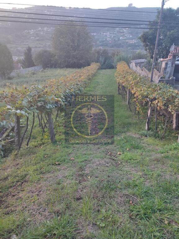 Foto se vende terreno rústico en redondela, saxamonde.