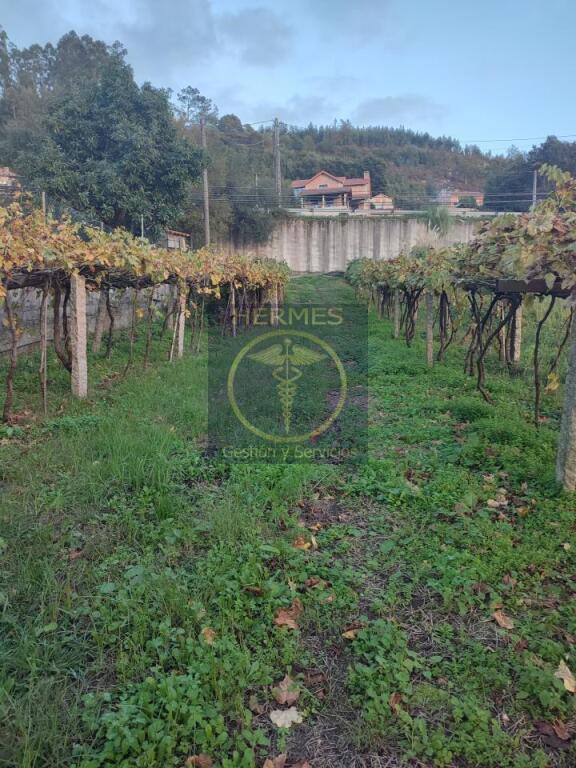 se vende terreno rústico en redondela, saxamonde. foto grande (3)