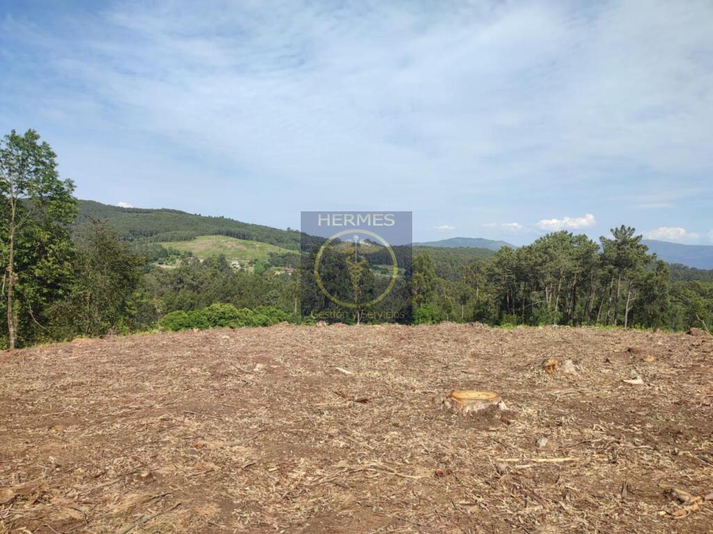 Foto terreno rusticos de 6164 m2 en pexegueiro tui