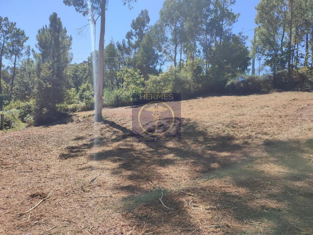 terreno rustico fantástica ubicación foto grande (2)