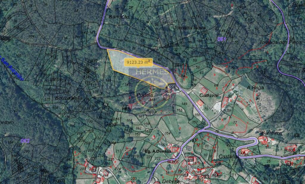 Foto terreno rustico ideal para explotacion 10.000 m2 en tui