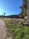 Foto8
