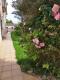 Foto6