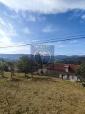 Foto41