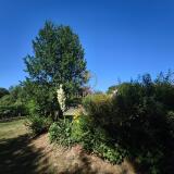 Foto24