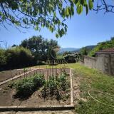 Foto44