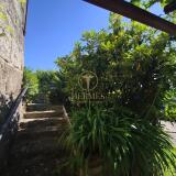 Foto48