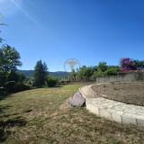 Foto54