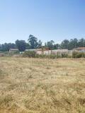 Foto4