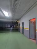 Foto43