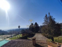 Foto61