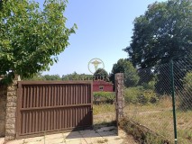 Foto2