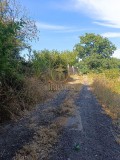 Foto3