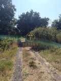 Foto6