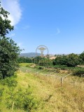 Foto5