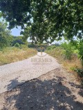Foto8