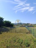 Foto9