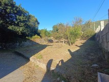 Foto8