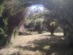 Foto9