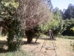Foto13