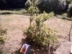 Foto12