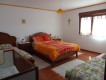 Foto42