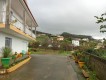 Foto37