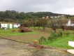 Foto42