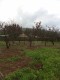 Foto46