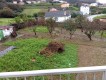 Foto49