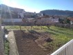 Foto54