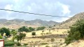 Foto8
