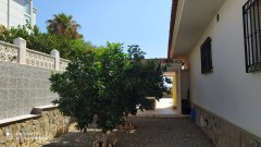 Foto1