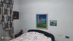 Foto12