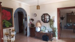 Foto4