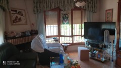 Foto5