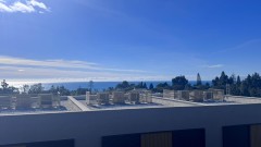Foto43